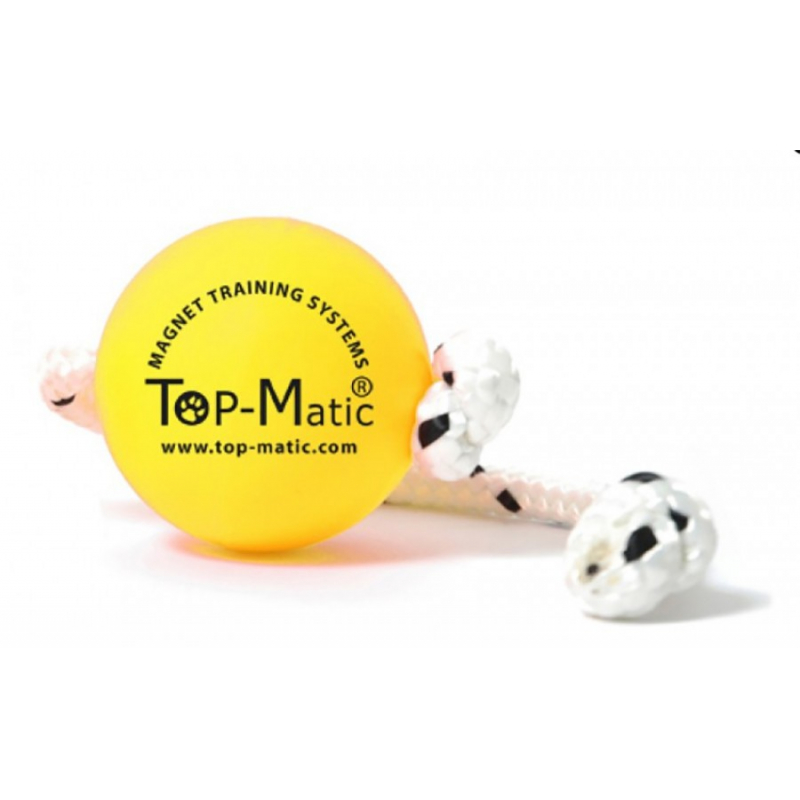 Obrázok pre Gappay - Fun Ball mini Soft TOP06